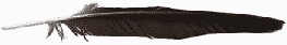 Feather divider