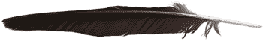 Feather divider
