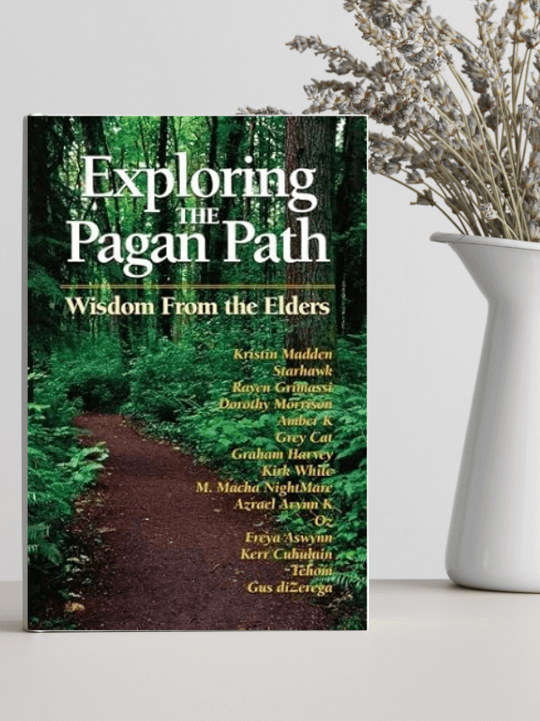 Exploring the Pagan Path book.