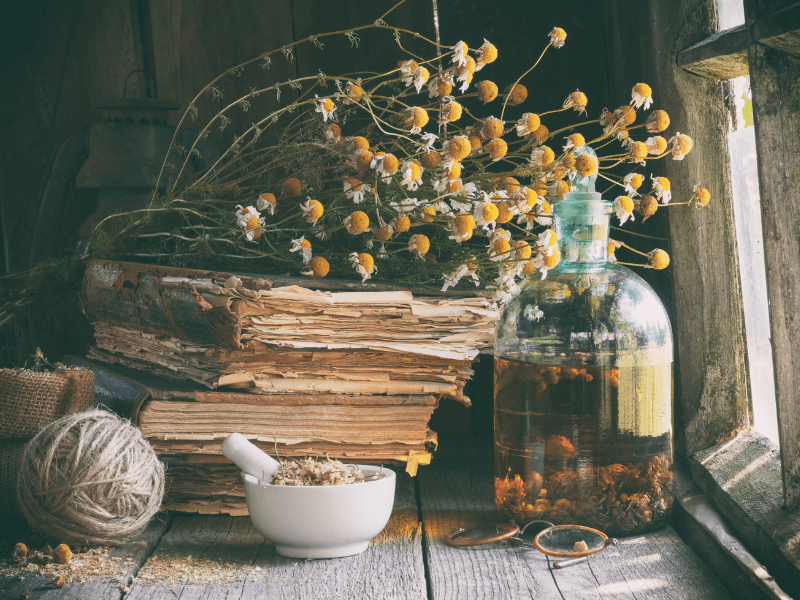 Mortar of dried healing herbs, bottle of infusion, dried herbs, stack of old books.